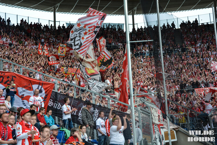 TSG Hoffenheim vs 1. FC Köln (1-1) (15)