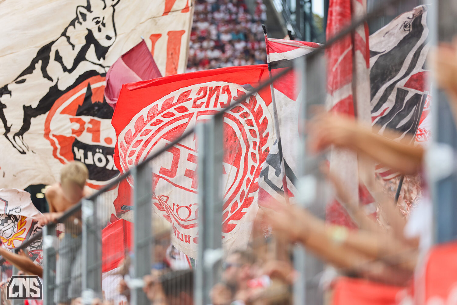 1. FC Köln – TSG Hoffenheim (29)