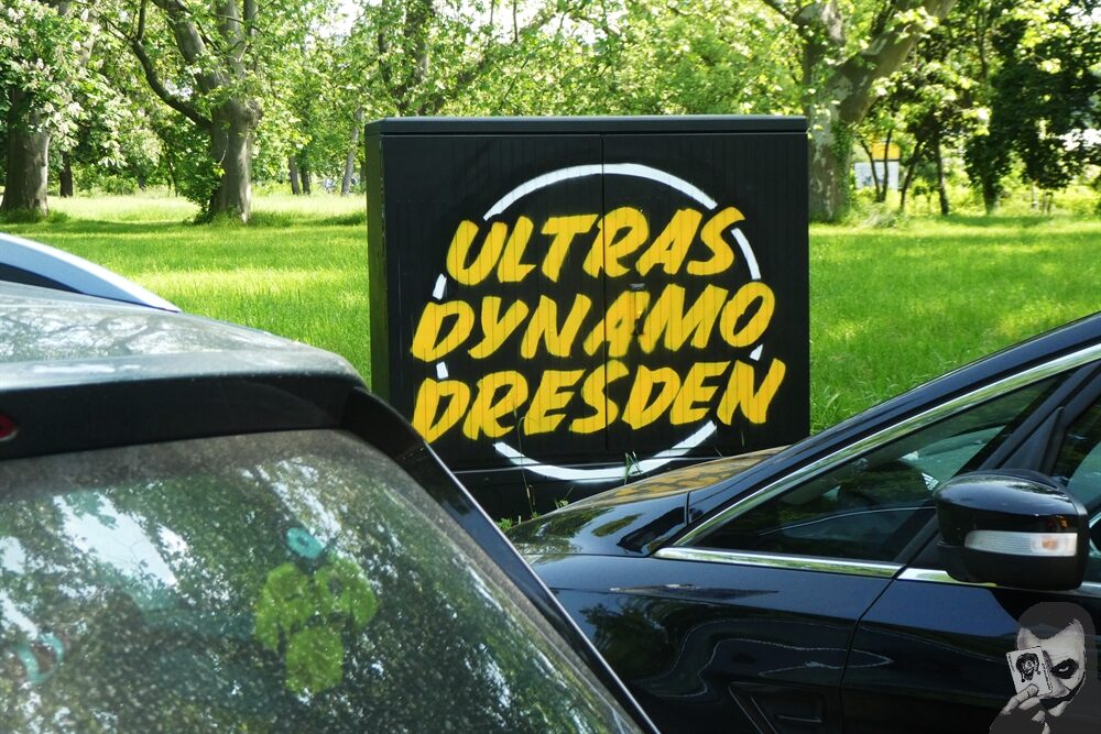 Dynamo Dresden – VfB Oldenburg 2-1 (8)
