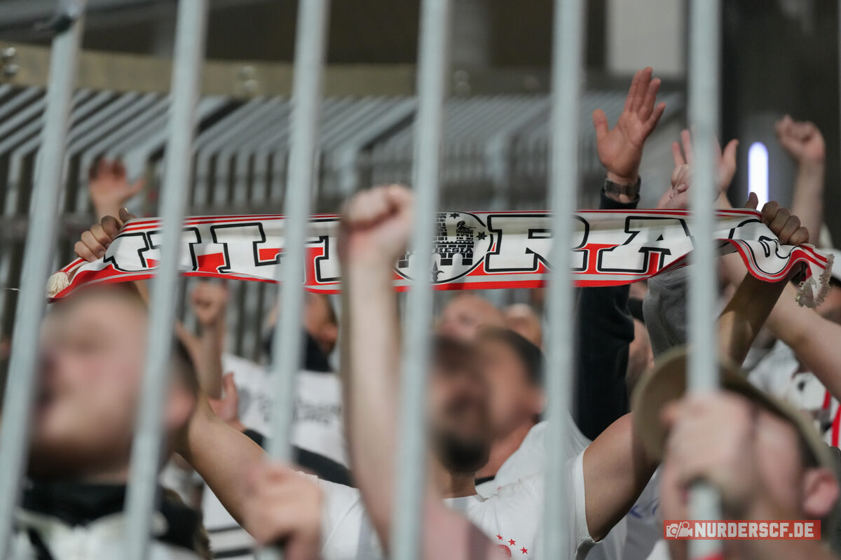 TSC Backa Topola – SC Freiburg 1-3 (29)