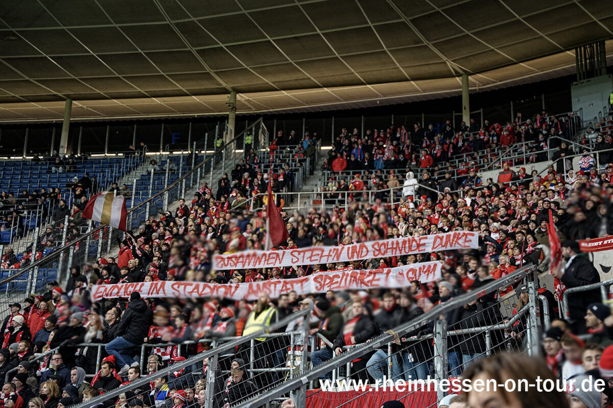 TSG Hoffenheim – 1. FSV Mainz 05 1-1 (11)