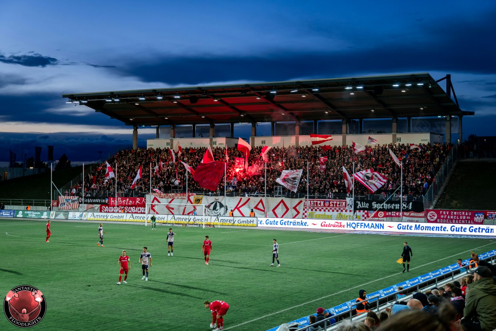 FSV Zwickau – Hallescher FC 1-0
