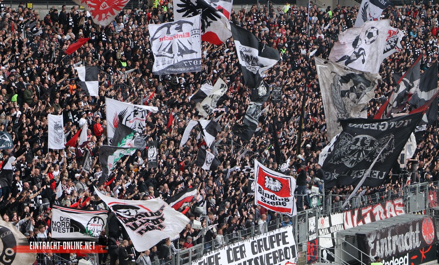 Eintracht Frankfurt – Bayer 04 Leverkusen 4-1 (16)