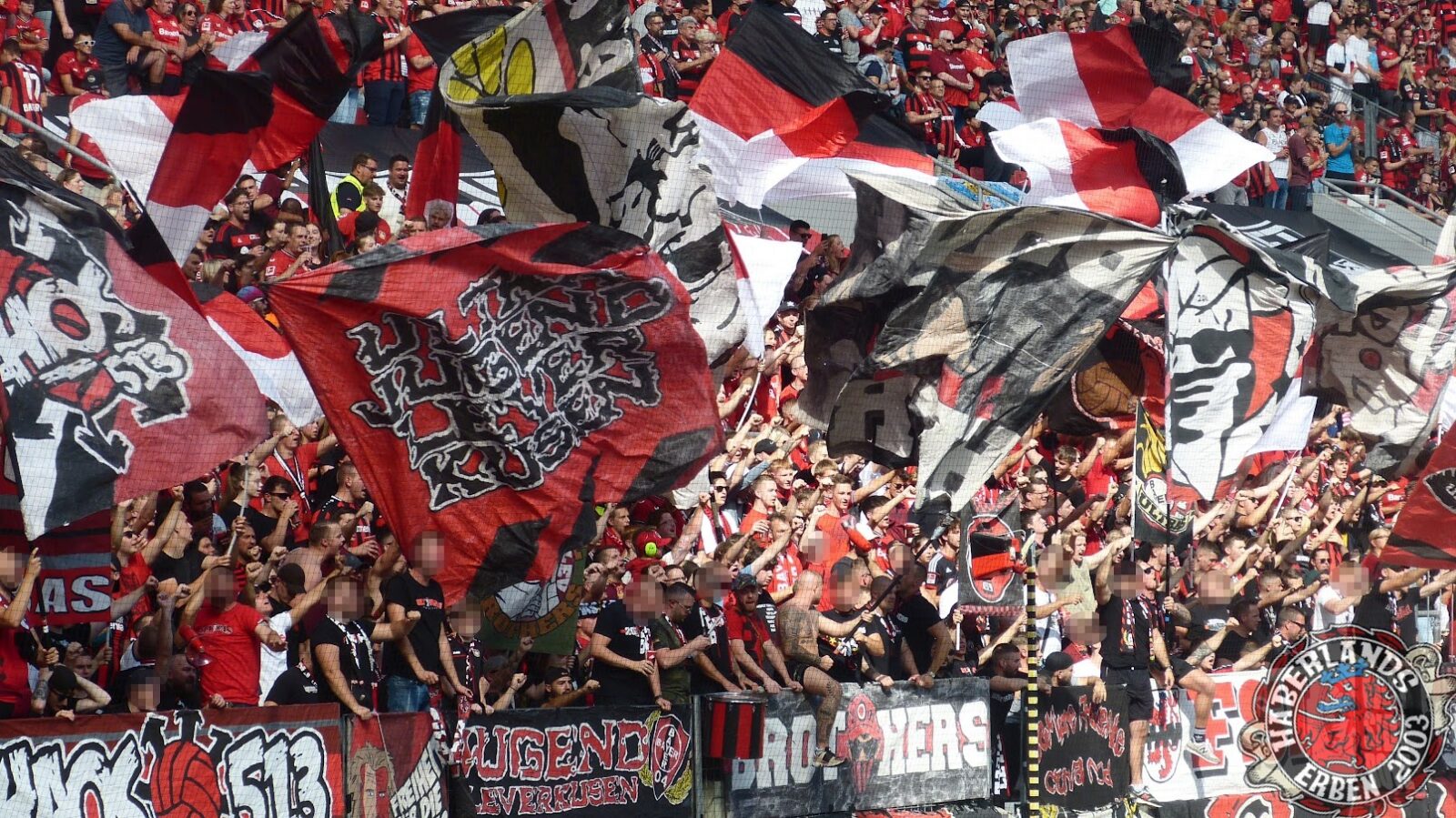 Bayer 04 Leverkusen – SC Freiburg 2-3 (16)