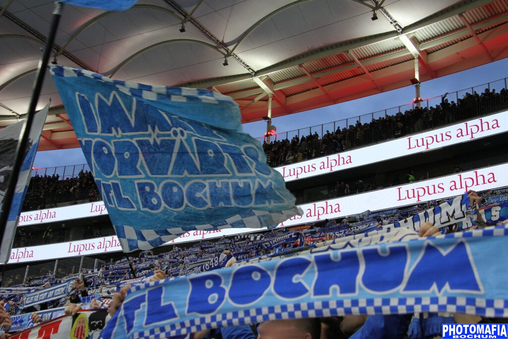Eintracht Frankfurt – VfL Bochum 1-1 (13)