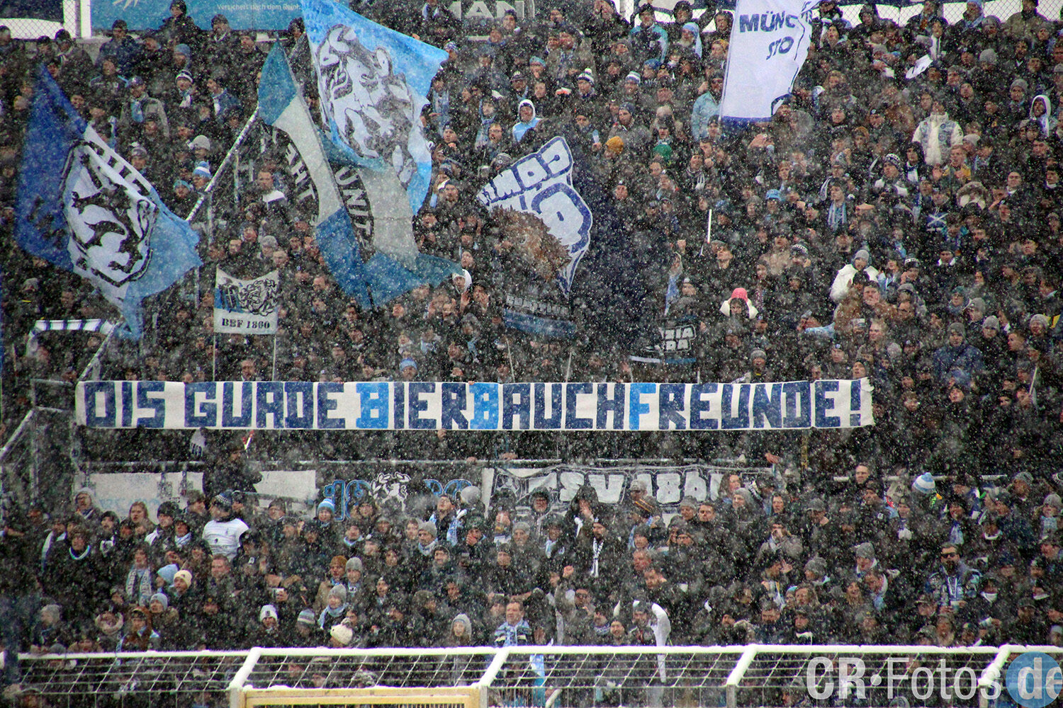 TSV 1860 München – FSV Zwickau (15)