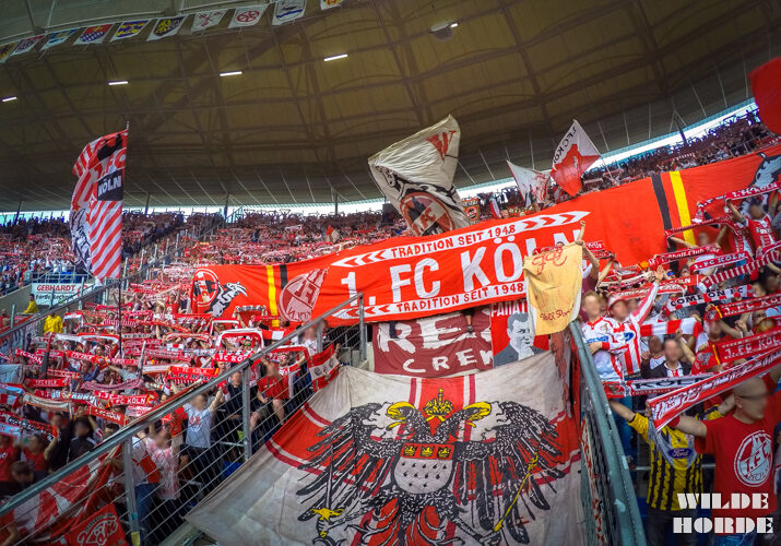 TSG Hoffenheim vs 1. FC Köln (1-1) (20)