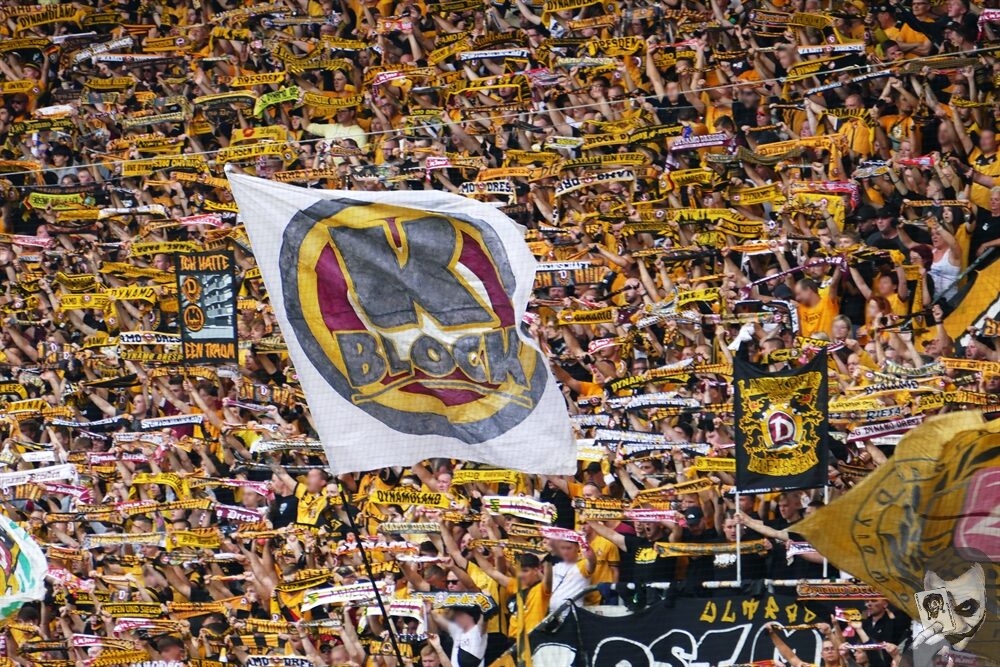 Dynamo Dresden – DSC Arminia Bielefeld 3-1 (8)