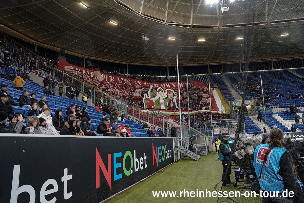 TSG Hoffenheim – 1. FSV Mainz 05 1-1 (21)