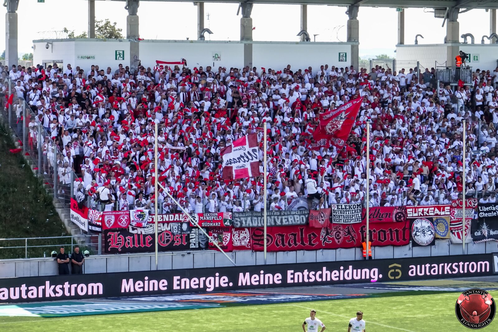 FSV Zwickau – Hallescher FC 3-2 (9)