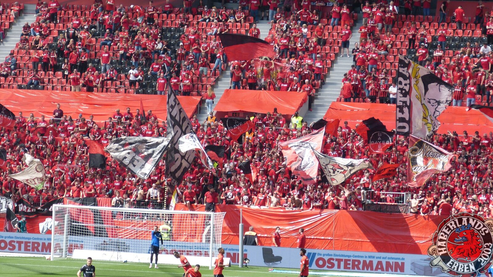 Bayer 04 Leverkusen – SC Freiburg 2-1 (21)