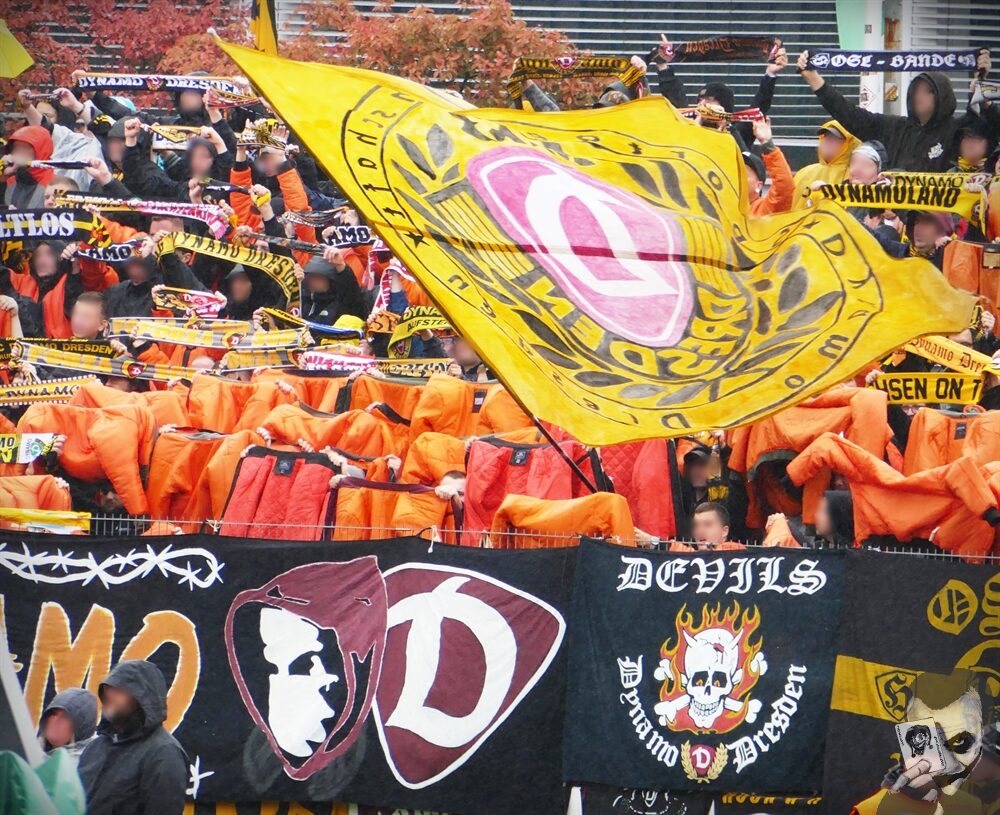 SpVgg Bayreuth – Dynamo Dresden 1-1 (14)