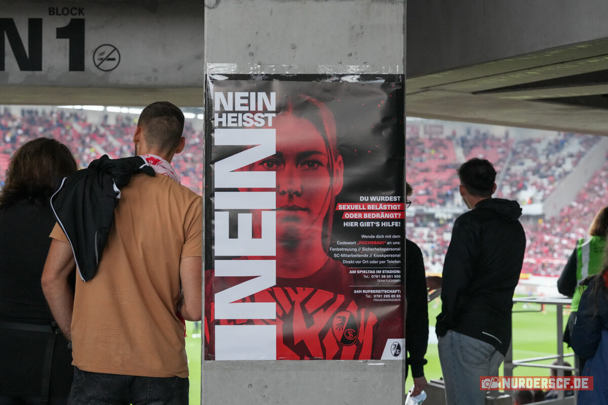 SC Freiburg – Werder Bremen 1-0 (30)