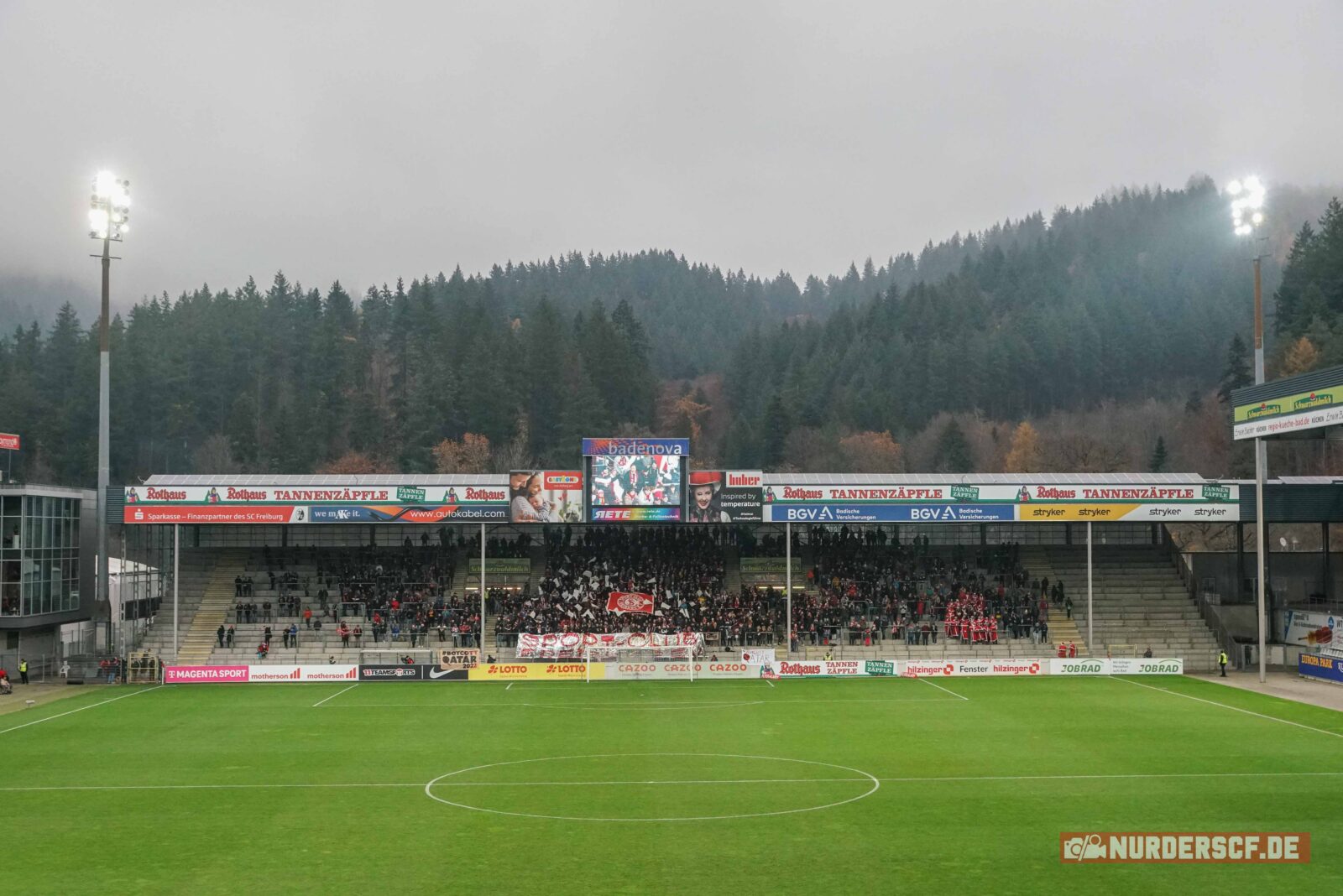 SC Freiburg Frauen – MSV Duisburg Frauen 4-1 (11)