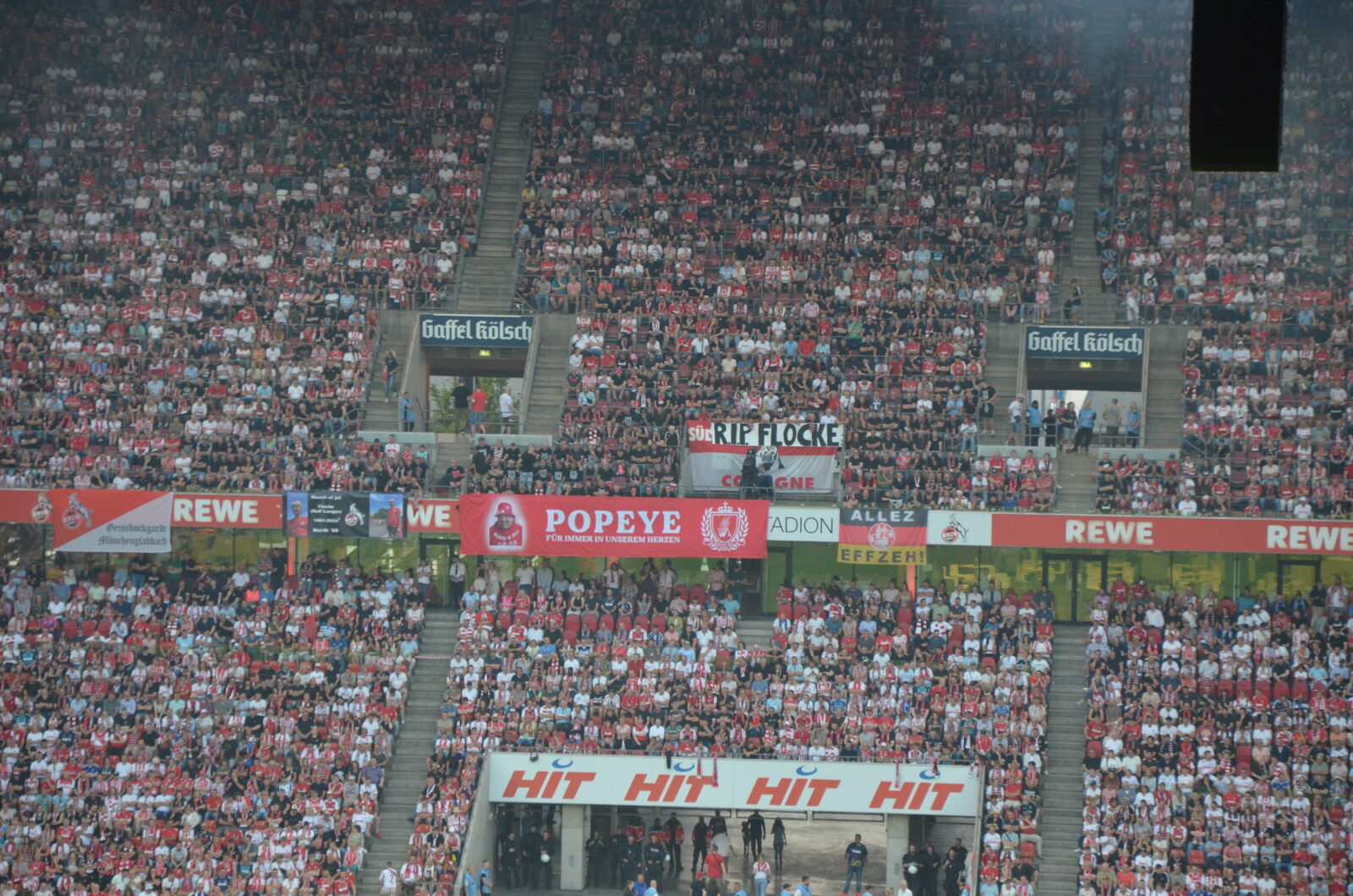 1. FC Köln – Hamburger SV 1-2