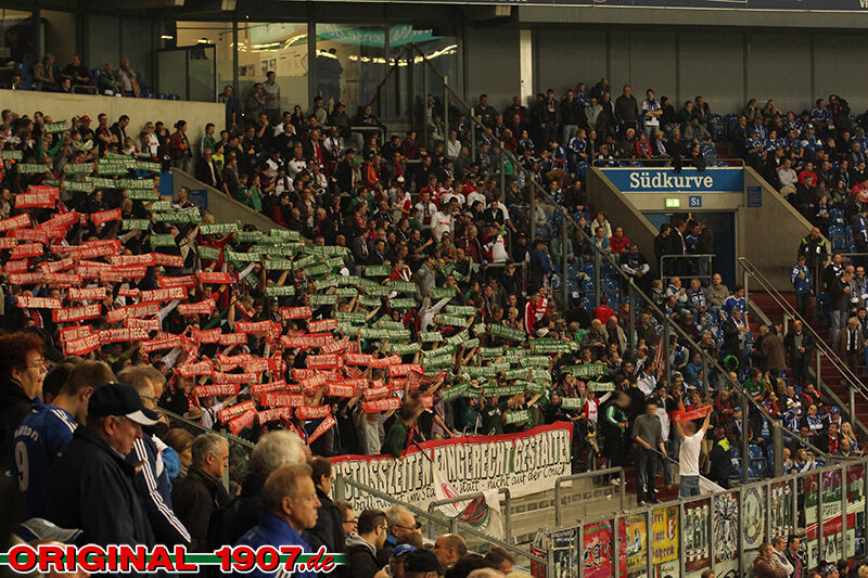 FC Schalke 04 vs FC Augsburg (1-0) (1)