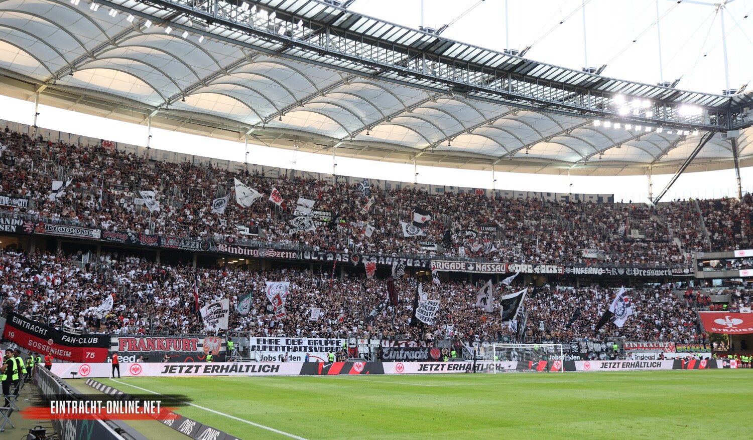 Eintracht Frankfurt – SV Darmstadt 98 1-0 (24)