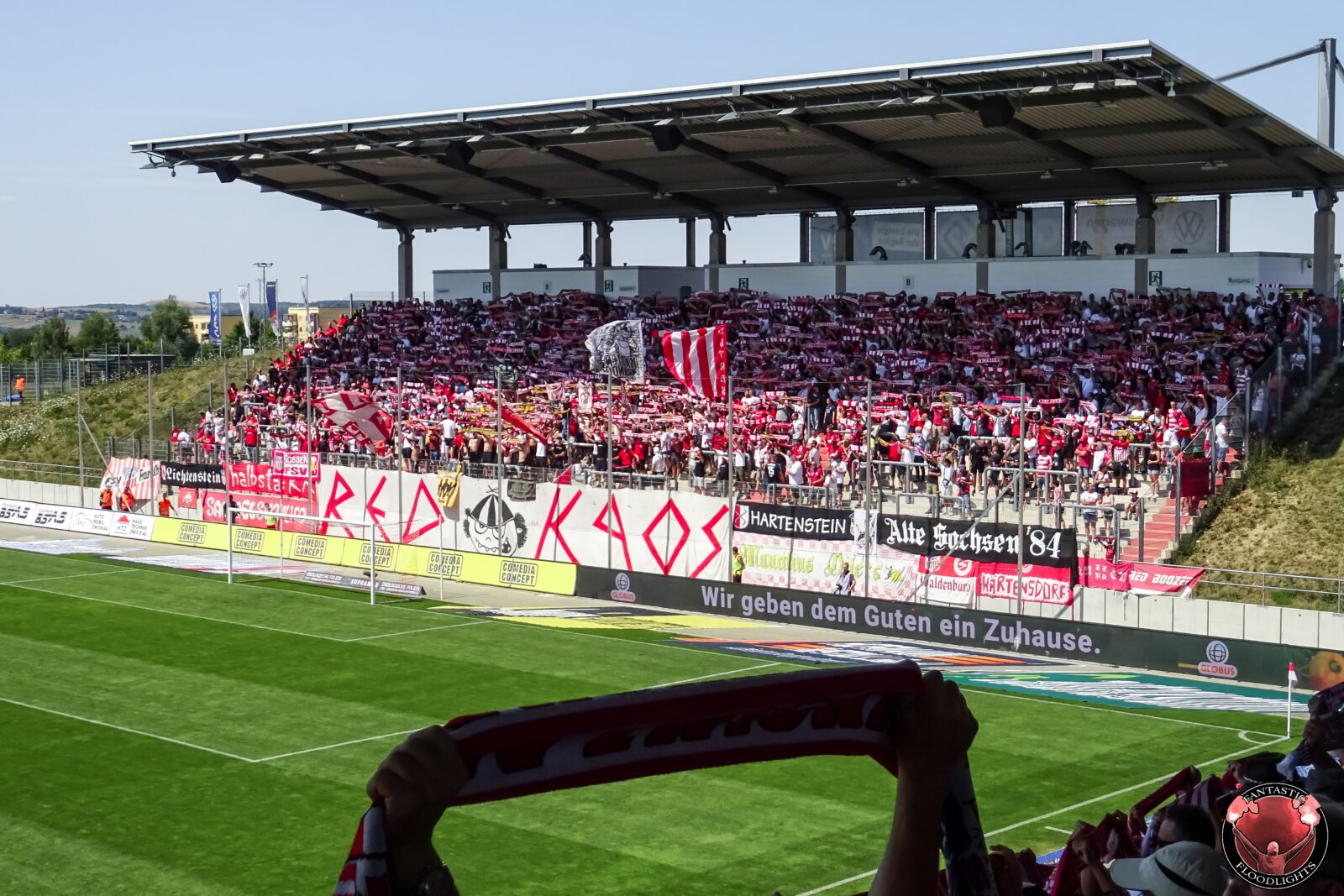 FSV Zwickau – Hallescher FC 3-2 (3)