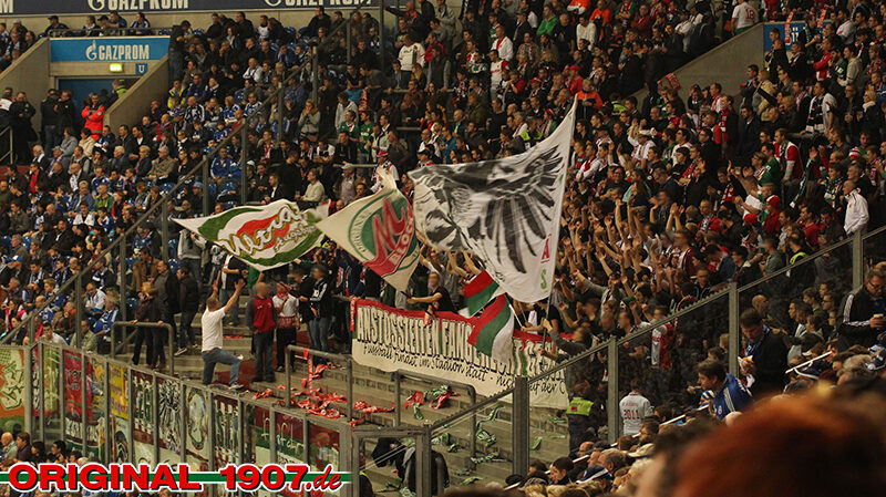 FC Schalke 04 vs FC Augsburg (1-0) (11)
