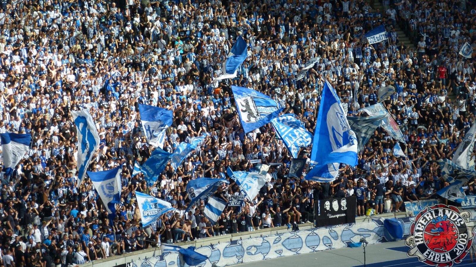 Hertha BSC – Bayer 04 Leverkusen 2-2 (8)