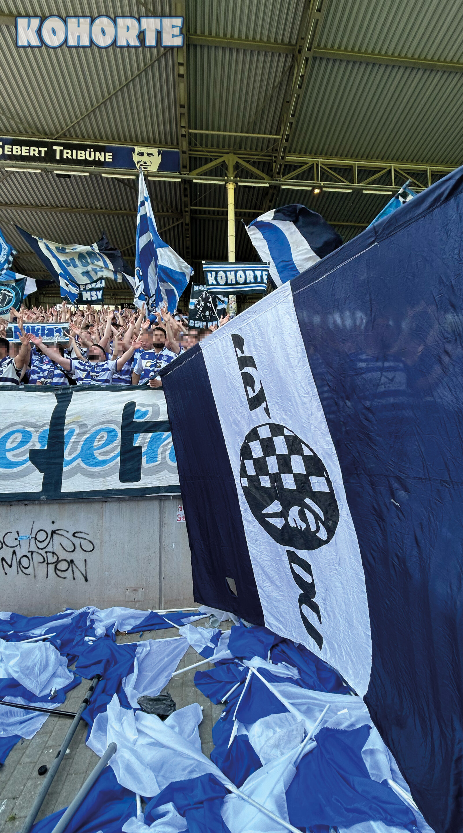 SV Waldhof Mannheim – MSV Duisburg 3-1