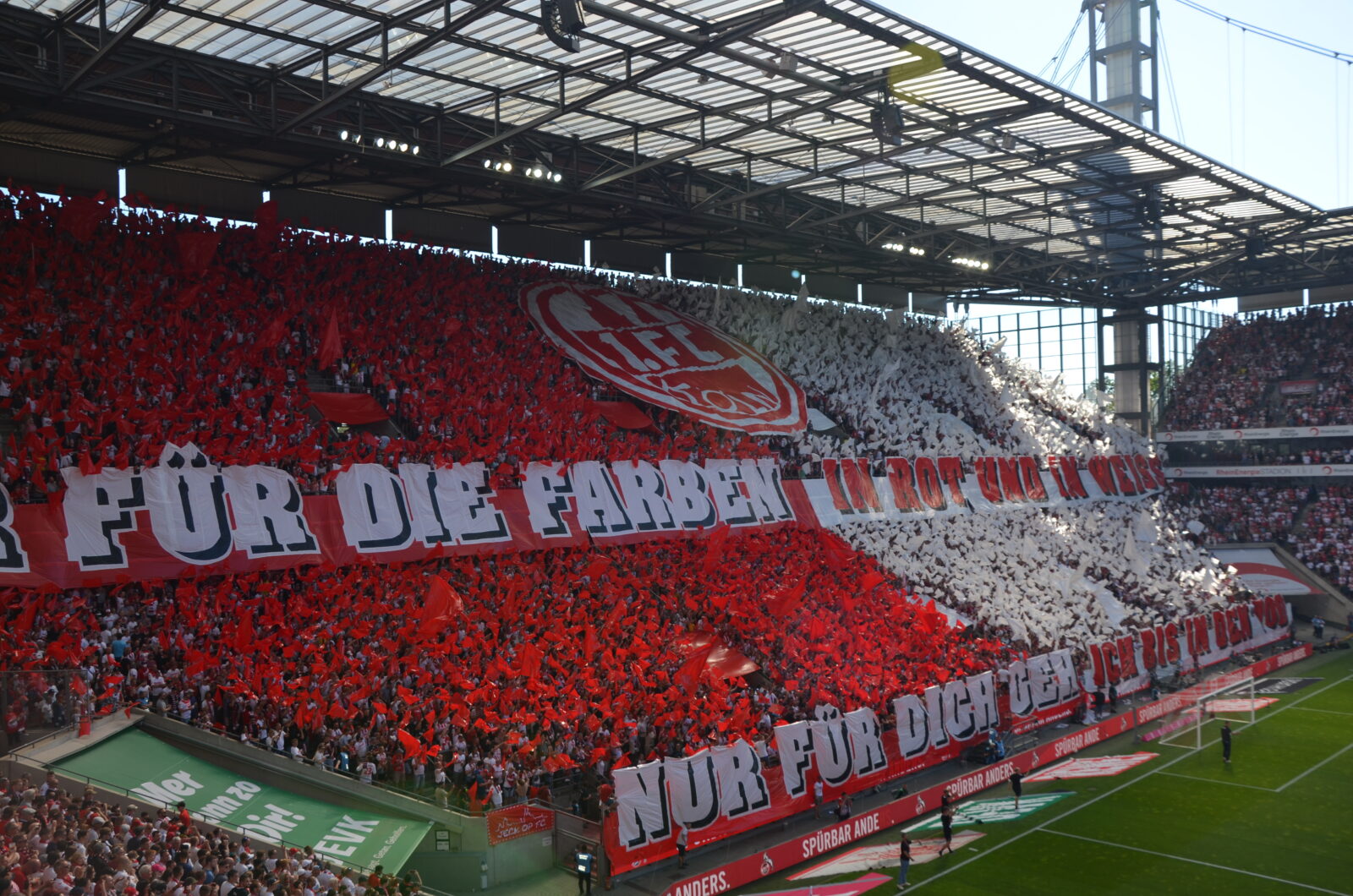 1. FC Köln – FC Schalke 04 3-1 (25)