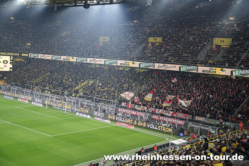 Borussia Dortmund – 1. FSV Mainz 05 1-1 (13)