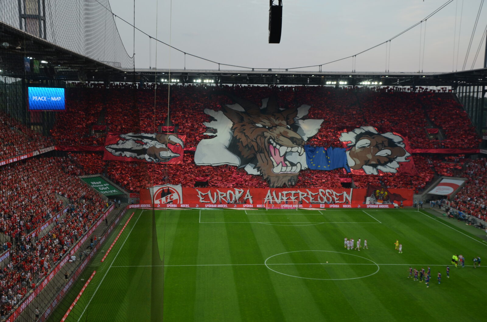 1. FC Köln – Fehérvár FC 1-2 (11)