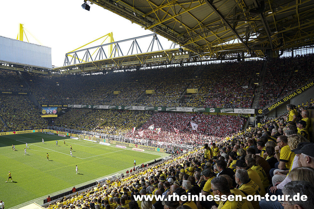 Borussia Dortmund – 1. FSV Mainz 05 2-2 (15)