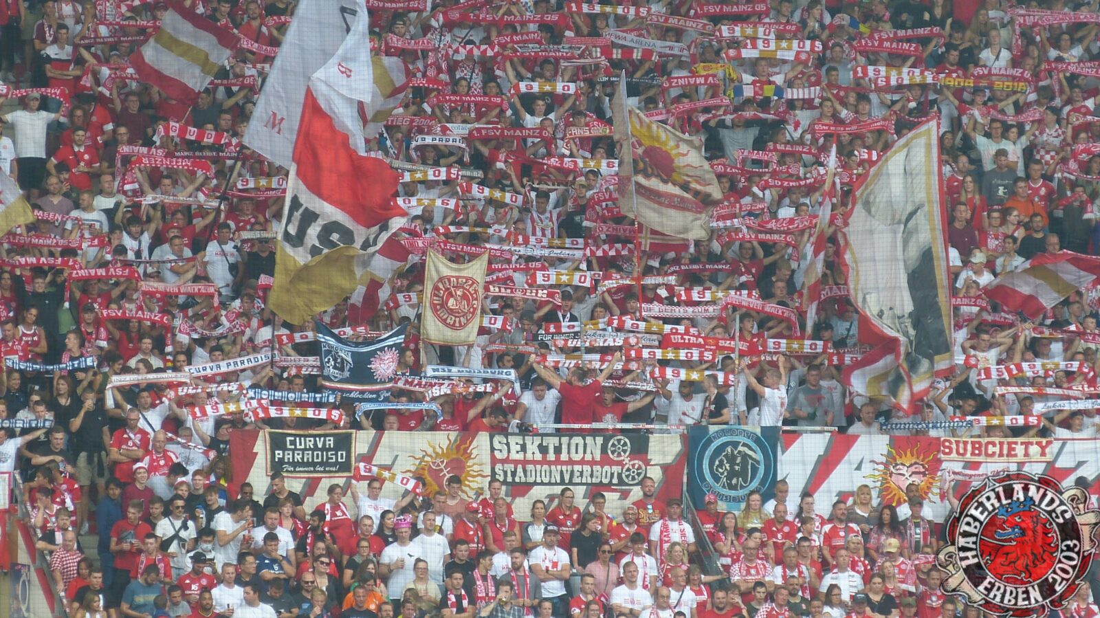 1. FSV Mainz 05 – Bayer 04 Leverkusen 0-3 (6)
