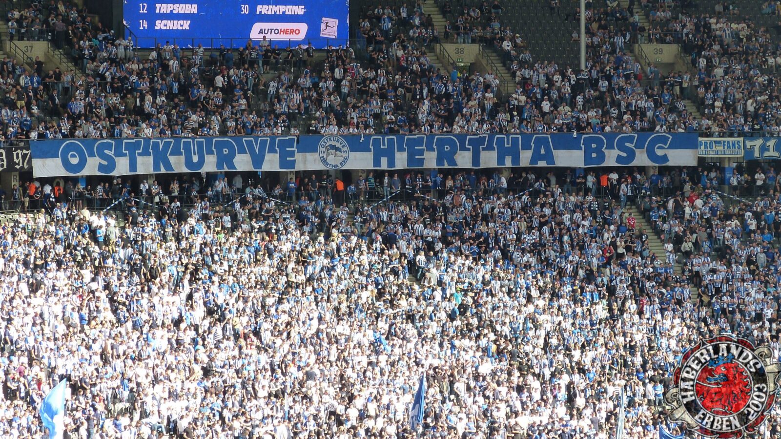 Hertha BSC – Bayer 04 Leverkusen 2-2 (7)