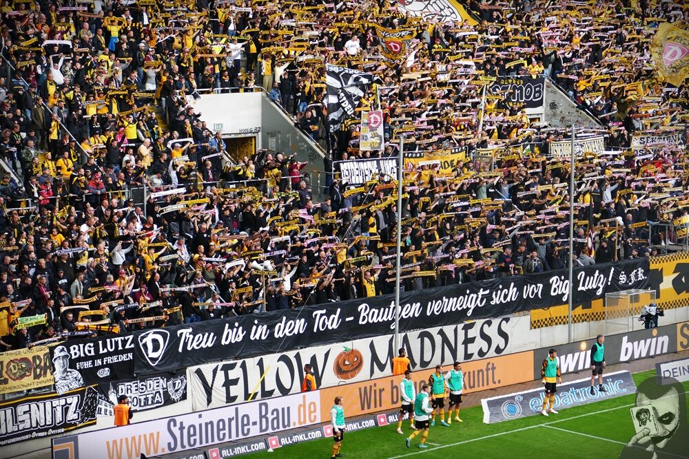 Dynamo Dresden – FC Ingolstadt 1-1 (14)