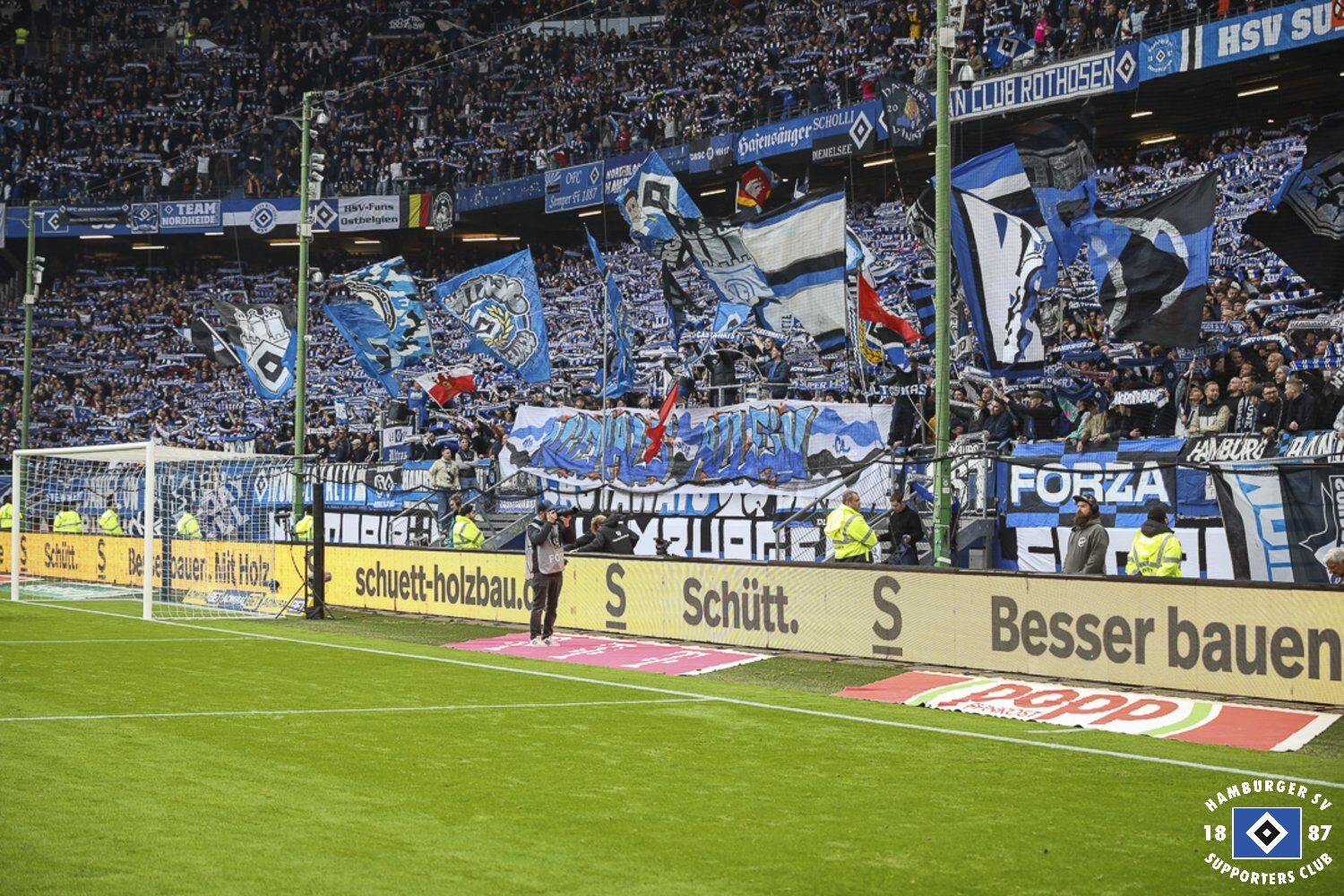 Hamburger SV – SC Paderborn 2-2 (19)