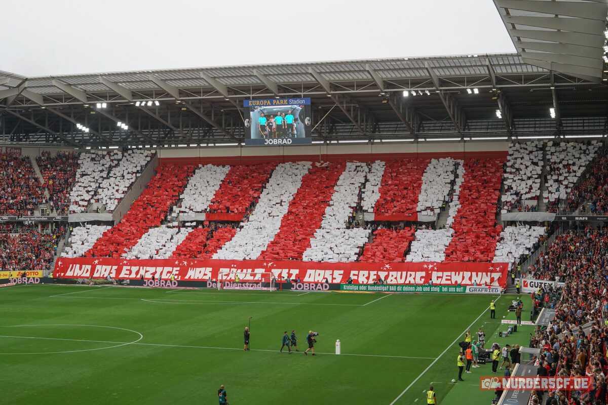 SC Freiburg – Werder Bremen 1-0 (21)
