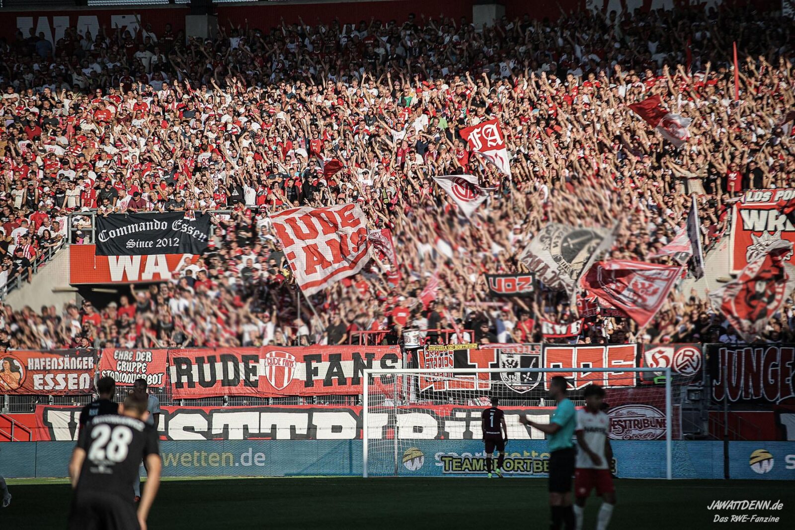 Rot-Weiss Essen – Viktoria Köln 1-4 (3)