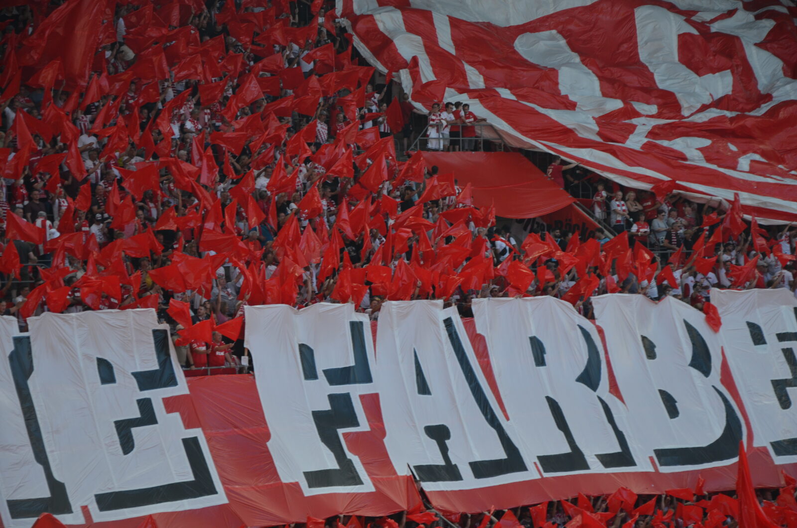 1. FC Köln – FC Schalke 04 3-1 (33)