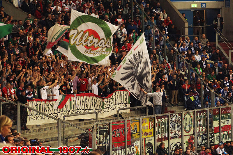 FC Schalke 04 vs FC Augsburg (1-0) (7)
