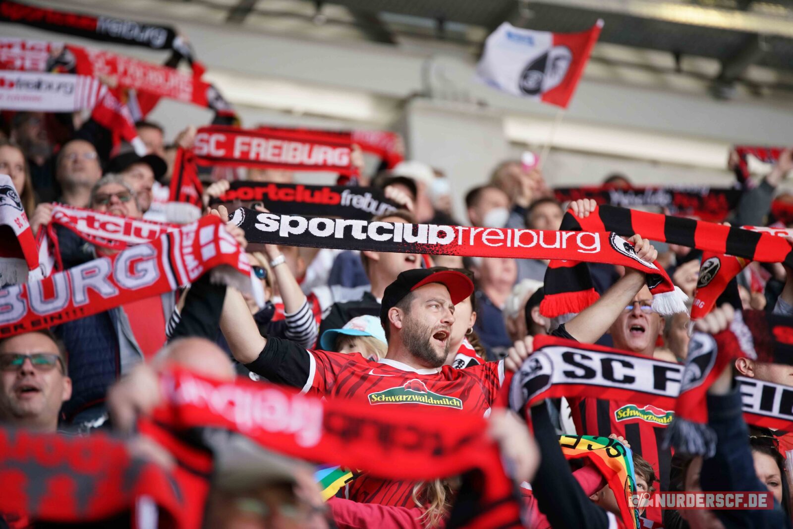 SC Freiburg – VfL Bochum 3-0 (50)