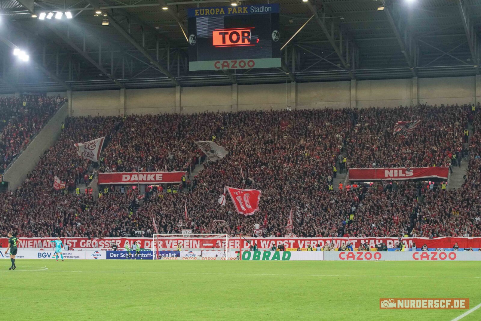 SC Freiburg – VfL Wolfsburg 2-0 (2)