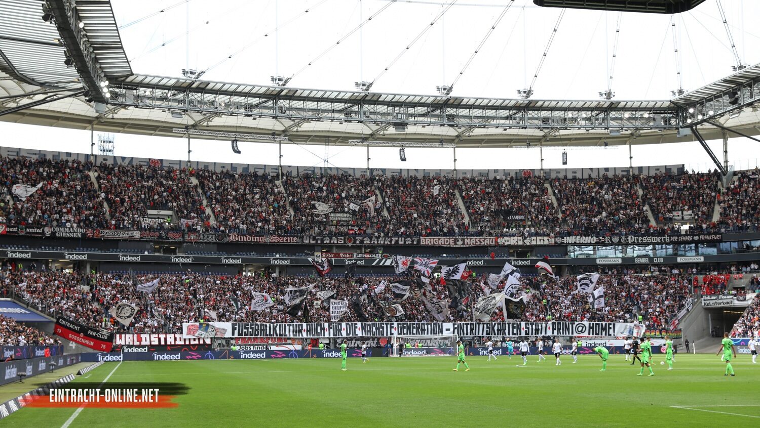 Eintracht Frankfurt – VfL Wolfsburg 0-1 (12)