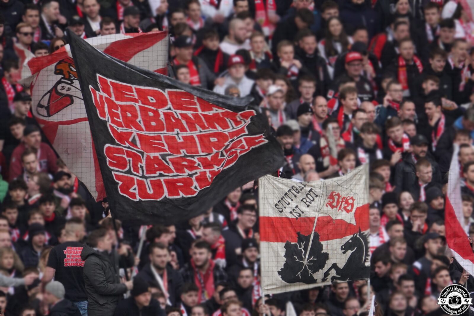 VfB Stuttgart – 1. FC Köln 1-1 (40)