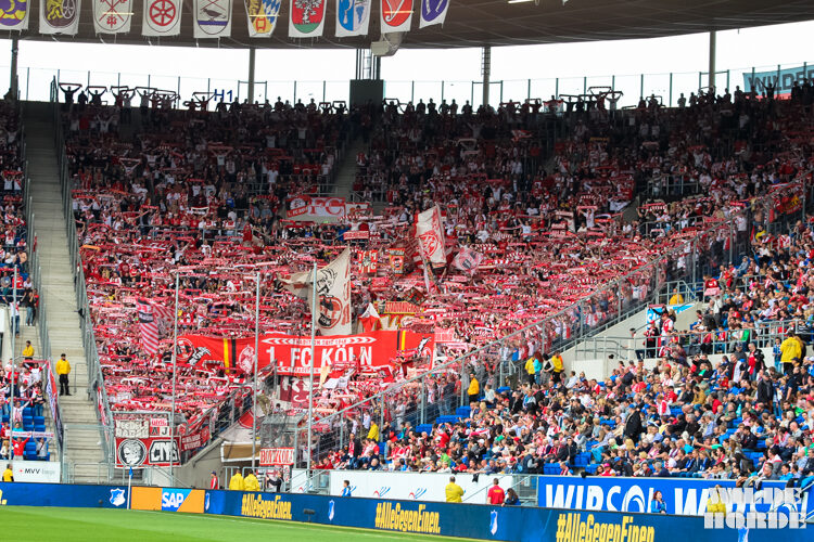 TSG Hoffenheim vs 1. FC Köln (1-1) (19)