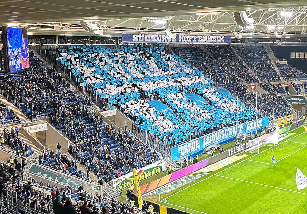 TSG Hoffenheim – 1. FSV Mainz 05 1-1 (6)