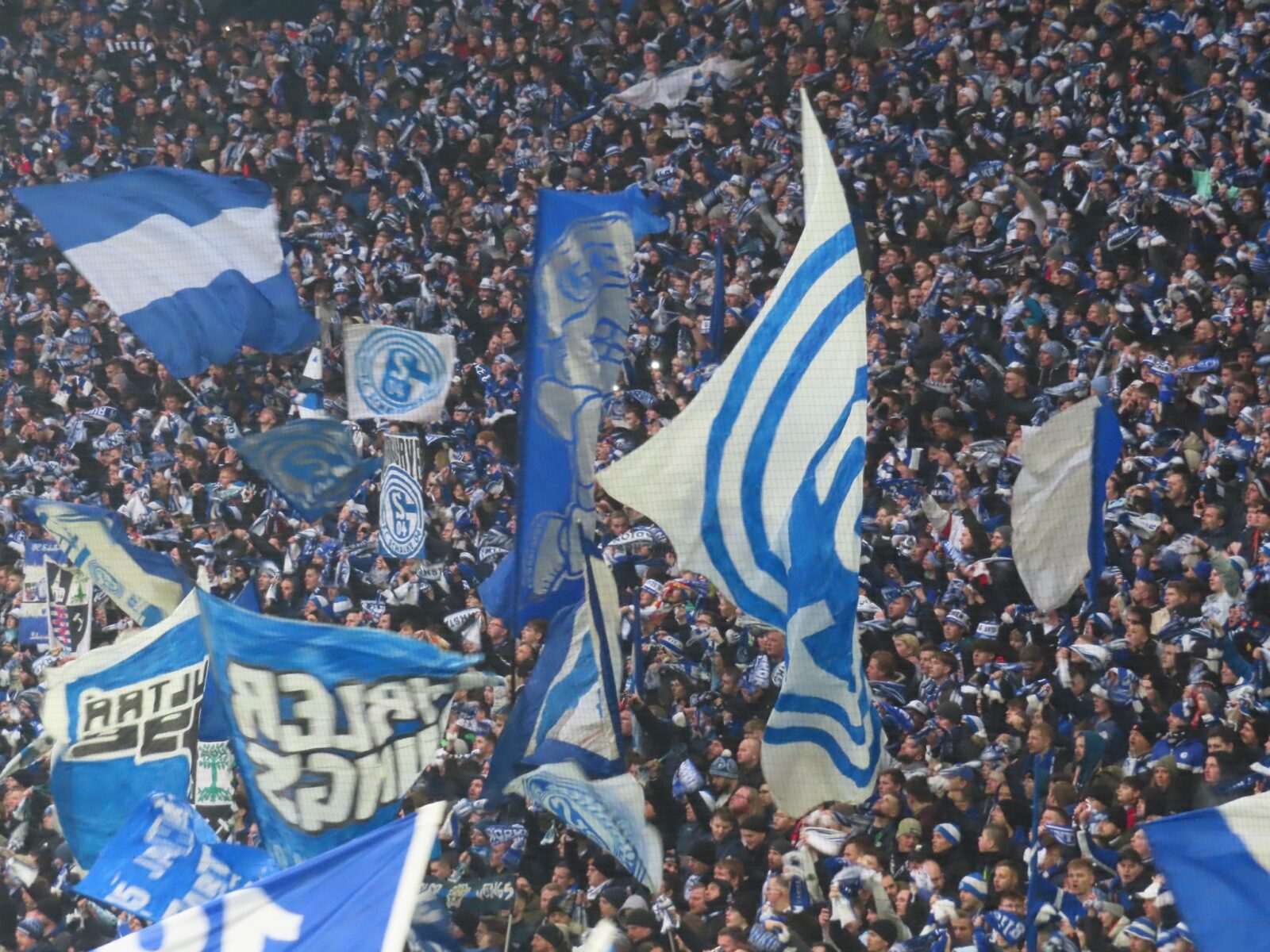 FC Schalke 04 – 1. FC Köln 0-0 (16)