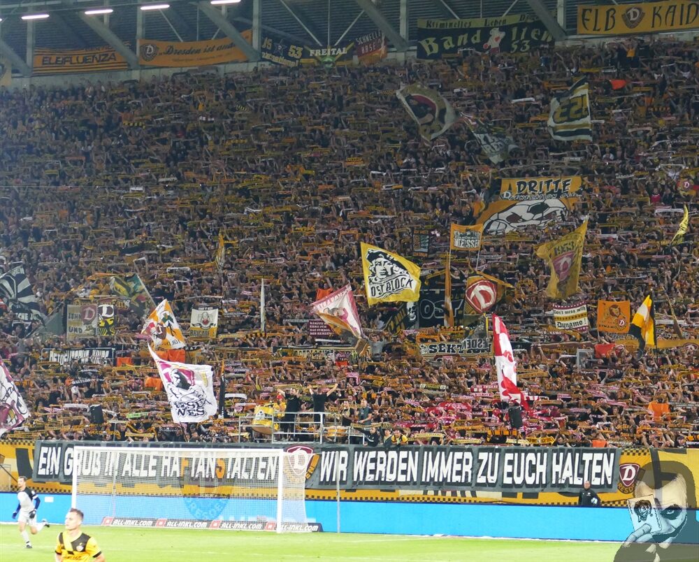 Dynamo Dresden – FC Erzgebirge Aue 2-1 (5)