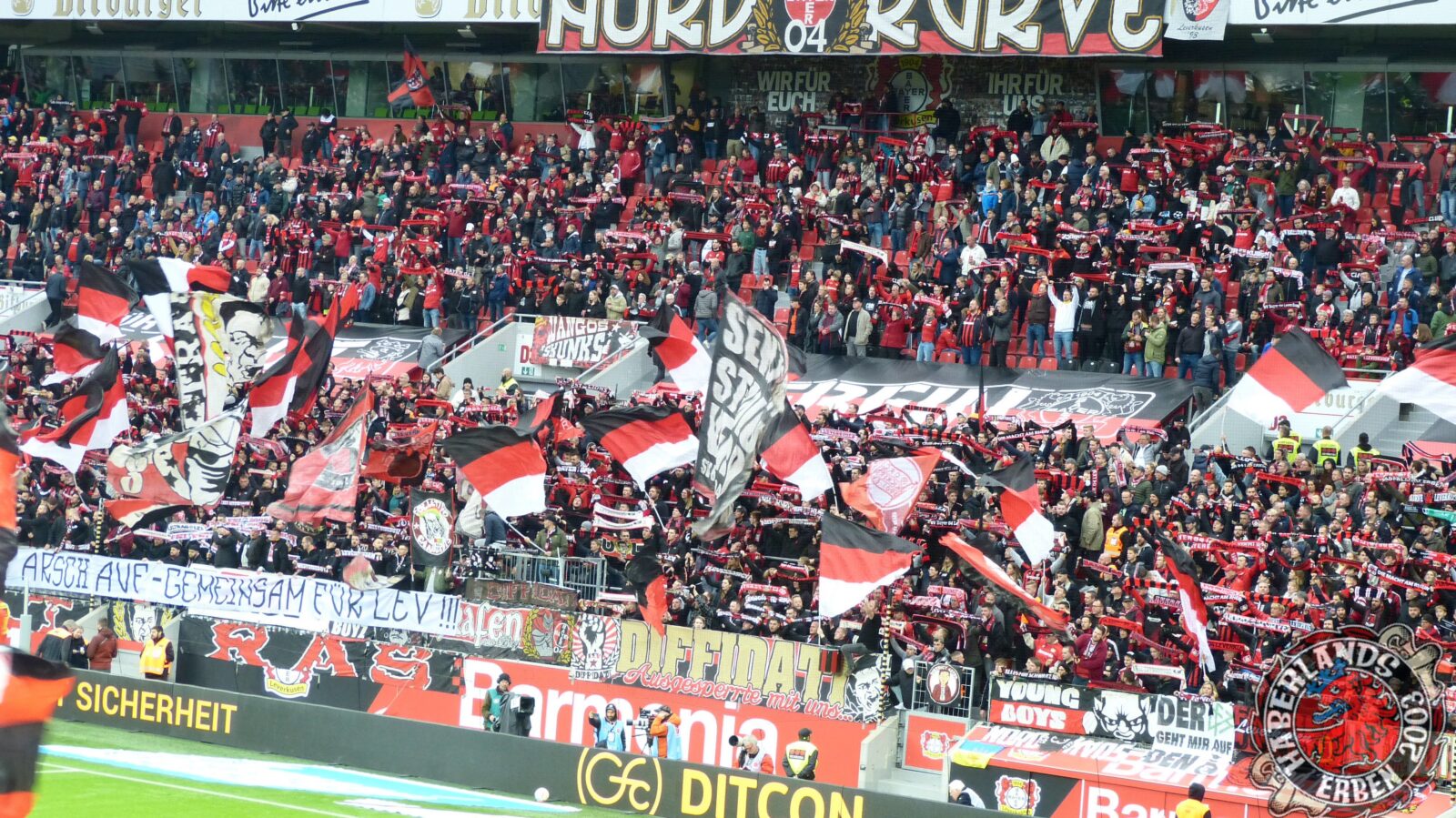Bayer 04 Leverkusen – 1. FC Union Berlin 5-0 (4)