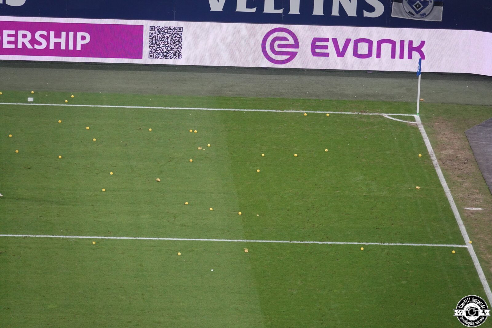 FC Schalke 04 – Hamburger SV (16)