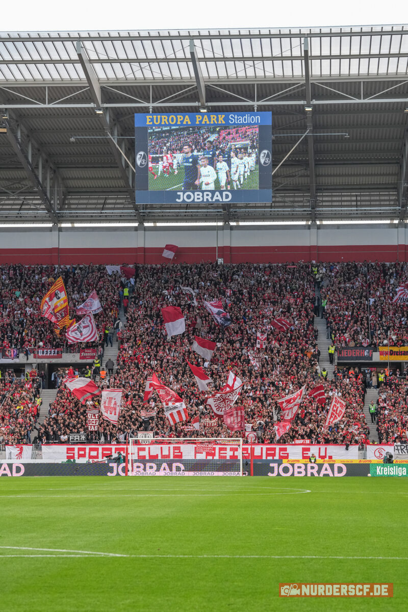 SC Freiburg – VfL Bochum 2-1 (10)