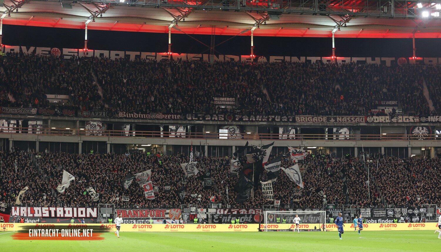 Eintracht Frankfurt – VfL Bochum 1-1 (16)
