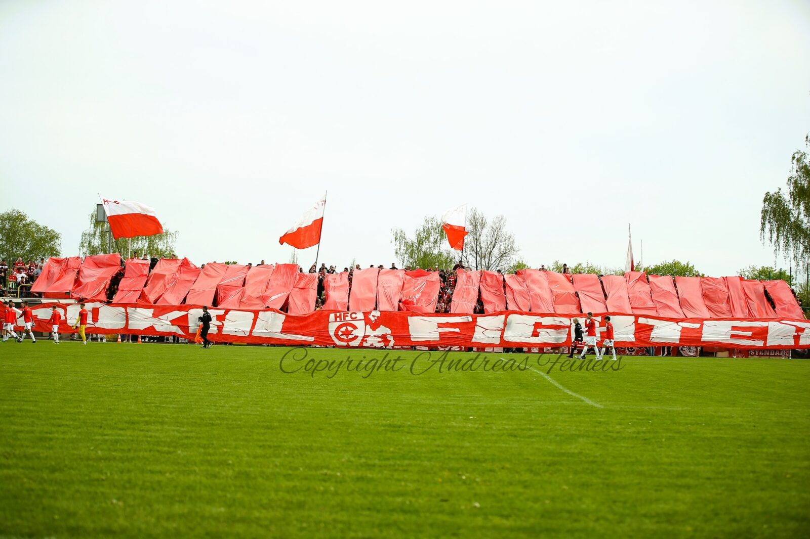 VfB Merseburg – Hallescher FC 0-8 (7)